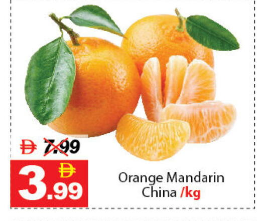 Orange Mandarin available at ديزرت فريش ماركت in الإمارات العربية المتحدة , الامارات - أبو ظبي