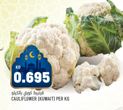 Cauliflower from Kuwait available at Oncost in Kuwait - Ahmadi Governorate