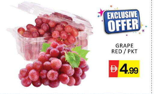 Mango available at مانجو هايبرماركت in الإمارات العربية المتحدة , الامارات - دبي