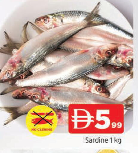 available at المدينة in الإمارات العربية المتحدة , الامارات - الشارقة / عجمان