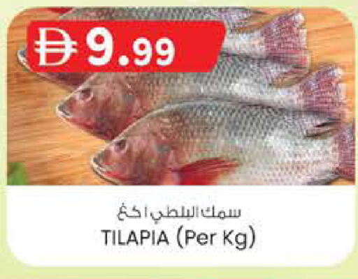 available at ك. الم. للتجارة in الإمارات العربية المتحدة , الامارات - الشارقة / عجمان