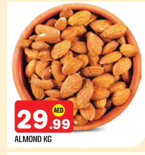 available at سنابل بني ياس in الإمارات العربية المتحدة , الامارات - أبو ظبي