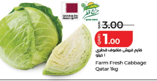 Cabbage from Qatar available at LuLu Hypermarket in Qatar - Al Daayen