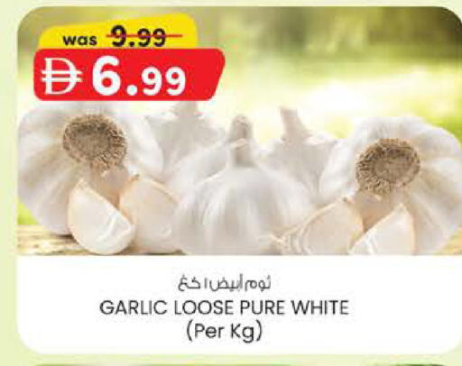 Garlic available at ك. الم. للتجارة in الإمارات العربية المتحدة , الامارات - الشارقة / عجمان