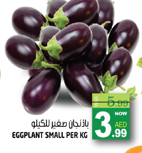 Eggplant available at هاشم هايبرماركت in الإمارات العربية المتحدة , الامارات - الشارقة / عجمان