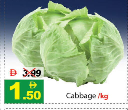 Cabbage available at ديزرت فريش ماركت in الإمارات العربية المتحدة , الامارات - أبو ظبي