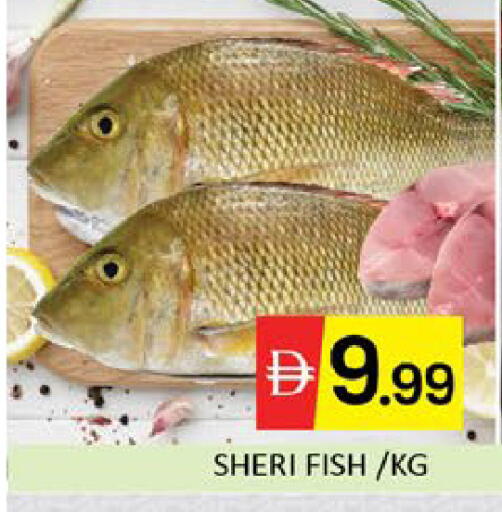 Mango available at مانجو هايبرماركت in الإمارات العربية المتحدة , الامارات - دبي