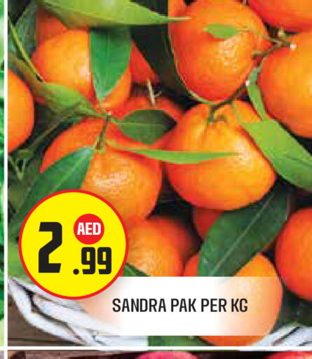 available at سنابل بني ياس in الإمارات العربية المتحدة , الامارات - أبو ظبي