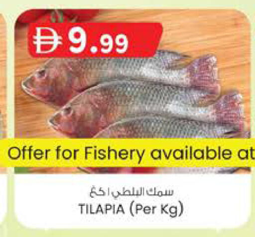 available at Safa Express Supermarket in UAE - Abu Dhabi