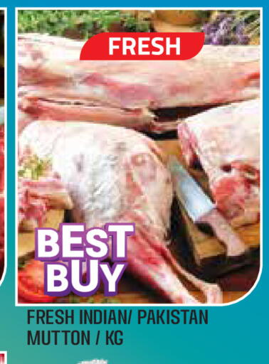 available at سنابل بني ياس in الإمارات العربية المتحدة , الامارات - أبو ظبي