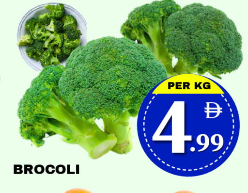 available at مركز نيو داي in الإمارات العربية المتحدة , الامارات - دبي