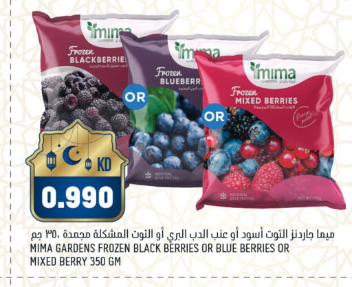 available at غلف مارت in الكويت - محافظة الأحمدي