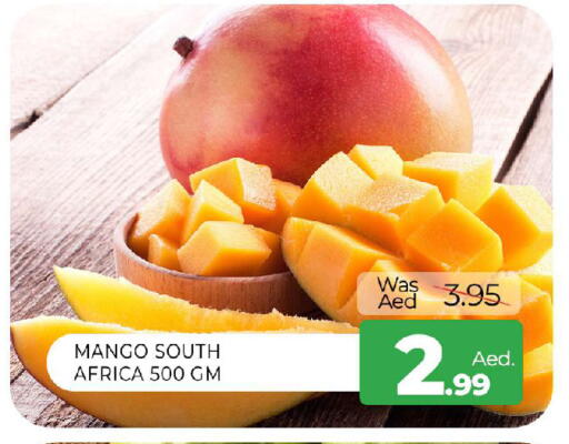 Mango from South Africa available at المدينة in الإمارات العربية المتحدة , الامارات - الشارقة / عجمان