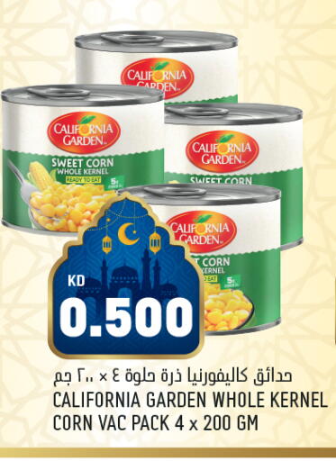 available at أونكوست in الكويت - محافظة الأحمدي