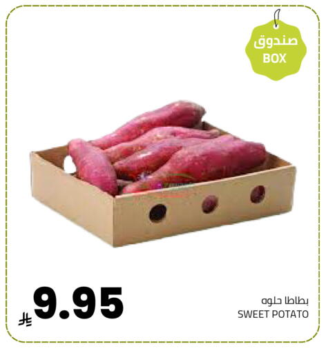 Sweet Potato available at Astra Markets in KSA, Saudi Arabia, Saudi - Tabuk