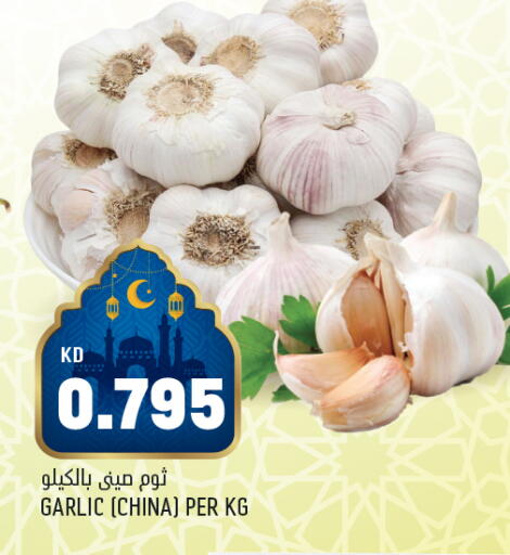 Garlic from China available at أونكوست in الكويت - محافظة الأحمدي