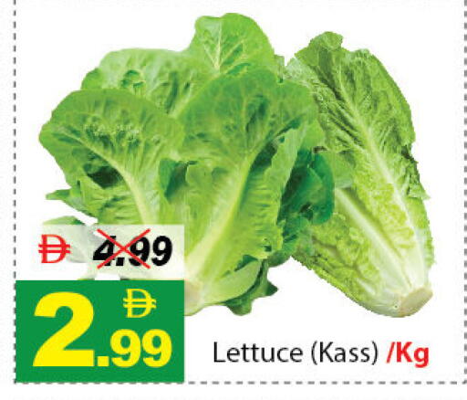 Lettuce available at ديزرت فريش ماركت in الإمارات العربية المتحدة , الامارات - أبو ظبي
