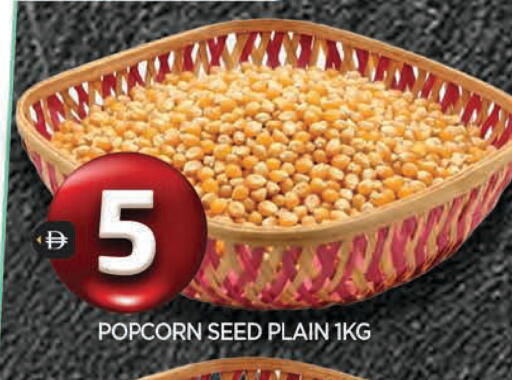 available at المدينة in الإمارات العربية المتحدة , الامارات - الشارقة / عجمان