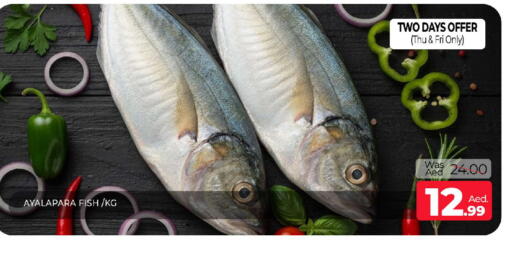 available at المدينة in الإمارات العربية المتحدة , الامارات - الشارقة / عجمان