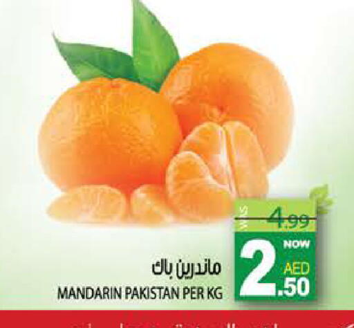 Mandarin from Pakistan available at هاشم هايبرماركت in الإمارات العربية المتحدة , الامارات - الشارقة / عجمان