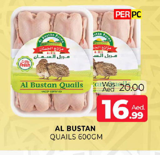 available at المدينة in الإمارات العربية المتحدة , الامارات - الشارقة / عجمان