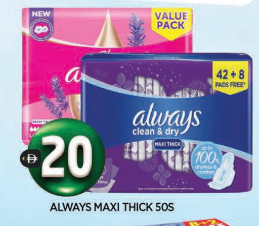 available at المدينة in الإمارات العربية المتحدة , الامارات - الشارقة / عجمان