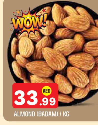 available at سنابل بني ياس in الإمارات العربية المتحدة , الامارات - أبو ظبي