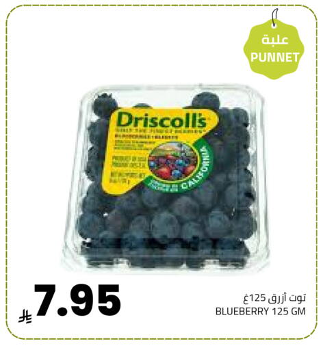 Blueberry BlueBerry available at Astra Markets in KSA, Saudi Arabia, Saudi - Tabuk