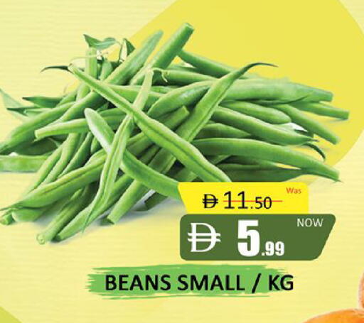 available at المدينة in الإمارات العربية المتحدة , الامارات - دبي