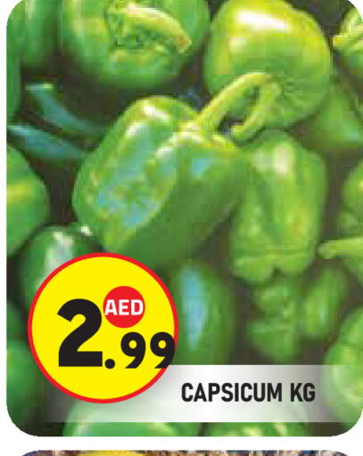 Capsicum available at سنابل بني ياس in الإمارات العربية المتحدة , الامارات - أبو ظبي
