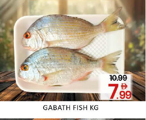 Mango available at مانجو هايبرماركت in الإمارات العربية المتحدة , الامارات - دبي