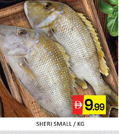 Mango available at مانجو هايبرماركت in الإمارات العربية المتحدة , الامارات - دبي