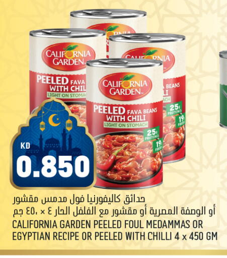Chilli available at أونكوست in الكويت - محافظة الأحمدي