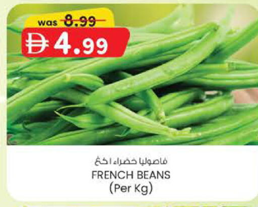 from France available at ك. الم. للتجارة in الإمارات العربية المتحدة , الامارات - الشارقة / عجمان