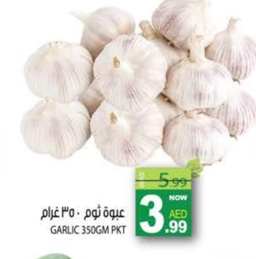 Garlic available at هاشم هايبرماركت in الإمارات العربية المتحدة , الامارات - الشارقة / عجمان