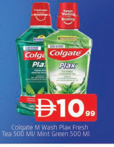 Mint available at المدينة in الإمارات العربية المتحدة , الامارات - الشارقة / عجمان