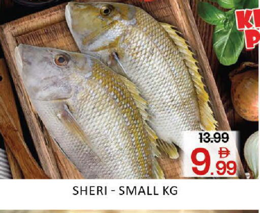 Mango available at مانجو هايبرماركت in الإمارات العربية المتحدة , الامارات - دبي