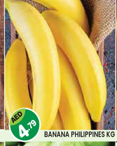 Banana from Philippines available at سنابل بني ياس in الإمارات العربية المتحدة , الامارات - أبو ظبي