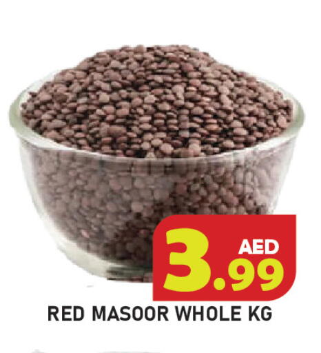 available at سنابل بني ياس in الإمارات العربية المتحدة , الامارات - رَأْس ٱلْخَيْمَة