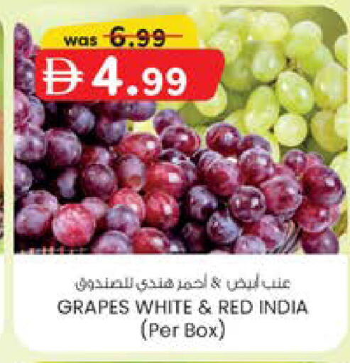 Grapes from India available at ك. الم. للتجارة in الإمارات العربية المتحدة , الامارات - دبي