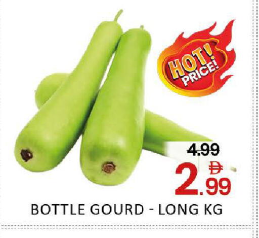 Mango available at مانجو هايبرماركت in الإمارات العربية المتحدة , الامارات - دبي