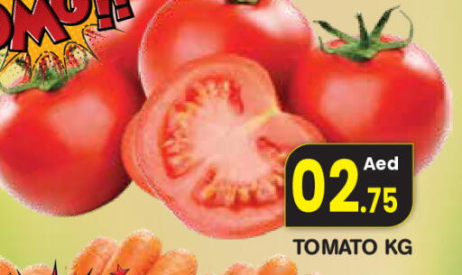 Tomato available at فريش سبايك سوبرماركت in الإمارات العربية المتحدة , الامارات - دبي