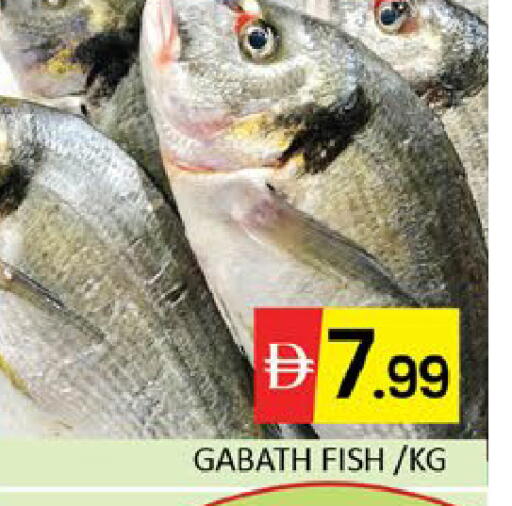 Mango available at مانجو هايبرماركت in الإمارات العربية المتحدة , الامارات - دبي