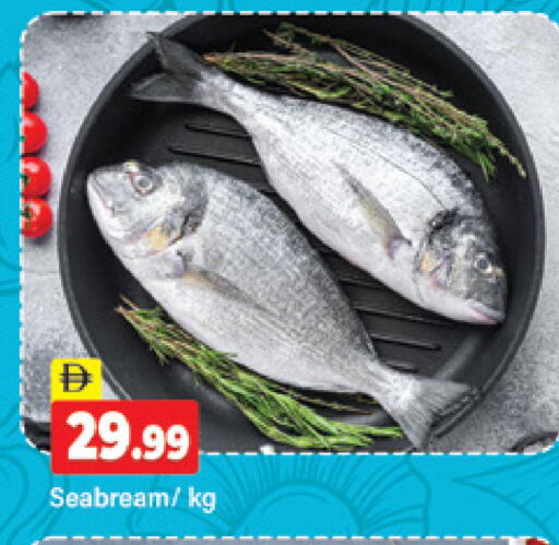 available at المدينة in الإمارات العربية المتحدة , الامارات - دبي