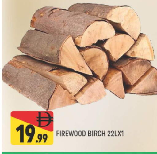 available at المدينة in الإمارات العربية المتحدة , الامارات - دبي