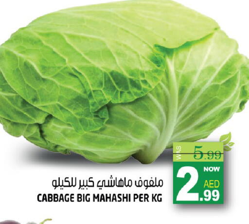 Cabbage available at هاشم هايبرماركت in الإمارات العربية المتحدة , الامارات - الشارقة / عجمان