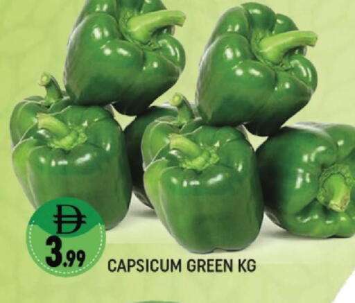 Capsicum available at المدينة in الإمارات العربية المتحدة , الامارات - دبي