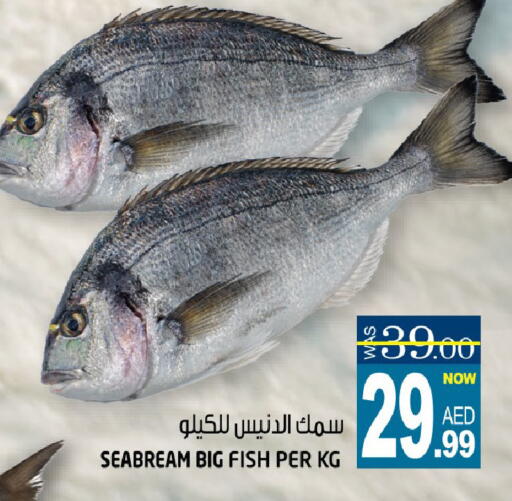 available at هاشم هايبرماركت in الإمارات العربية المتحدة , الامارات - الشارقة / عجمان