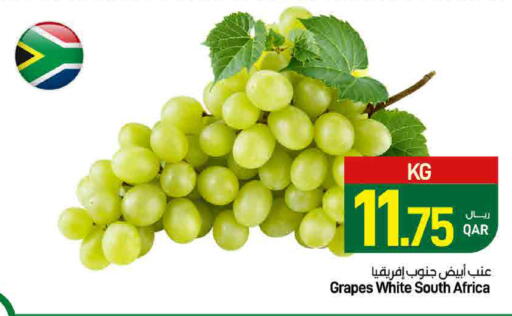 Grapes from South Africa available at ســبــار in قطر - الدوحة