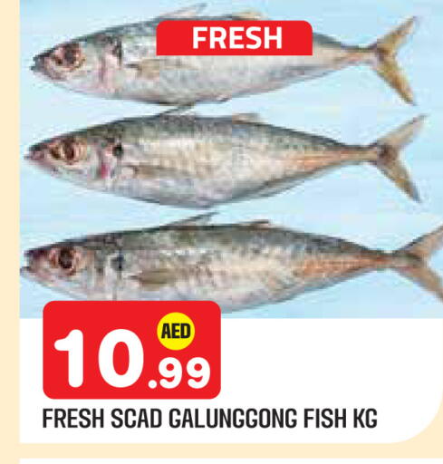 available at سنابل بني ياس in الإمارات العربية المتحدة , الامارات - أبو ظبي